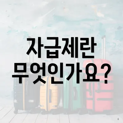 자급제란 무엇인가요?