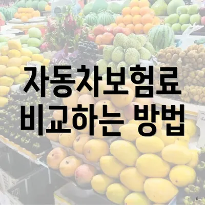 자동차보험료 비교하는 방법