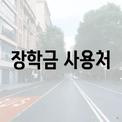 장학금 사용처