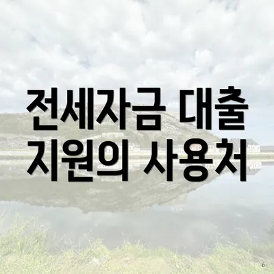 전세자금 대출 지원의 사용처