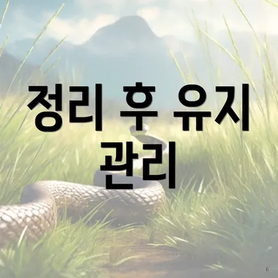 정리 후 유지 관리