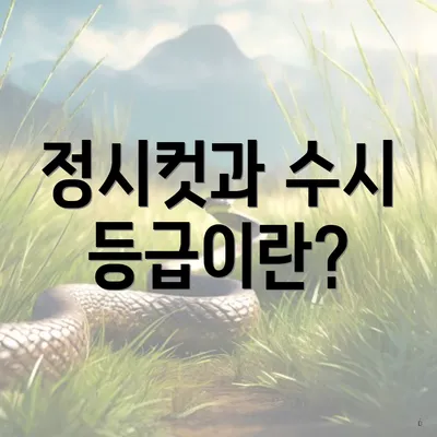 정시컷과 수시 등급이란?