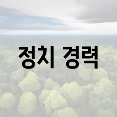 정치 경력
