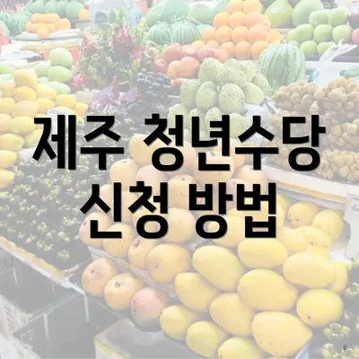 제주 청년수당 신청 방법