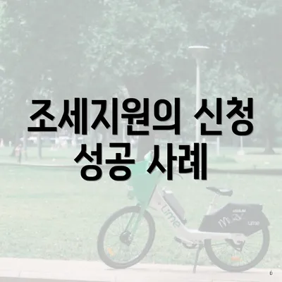 조세지원의 신청 성공 사례