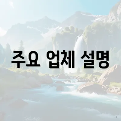 주요 업체 설명