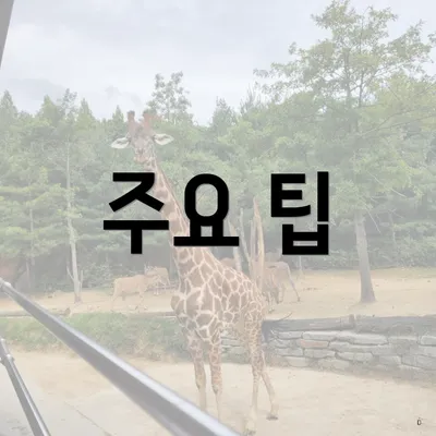 주요 팁