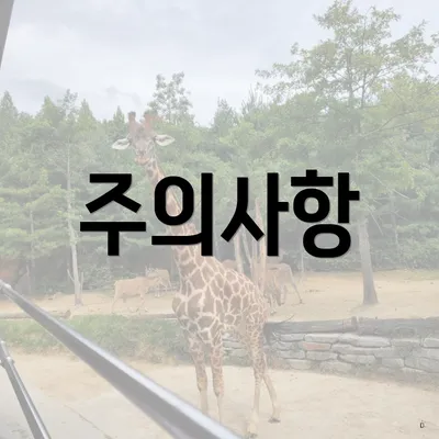 주의사항