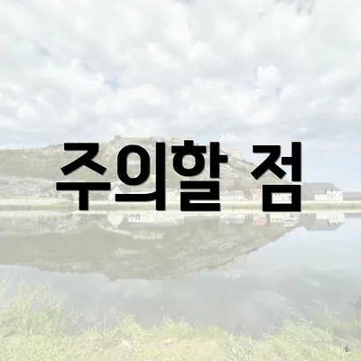 주의할 점