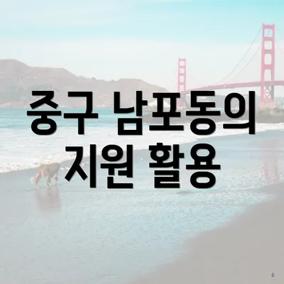 중구 남포동의 지원 활용