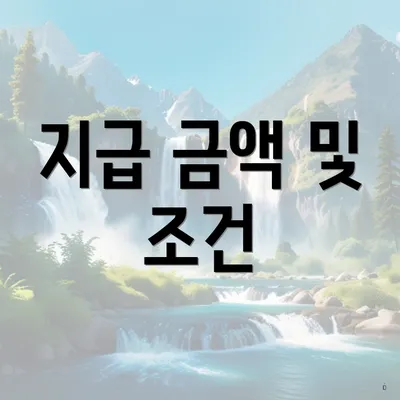 지급 금액 및 조건
