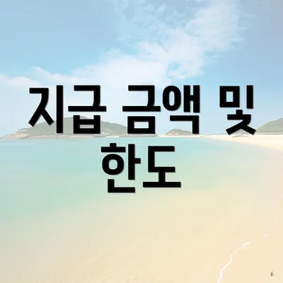 지급 금액 및 한도