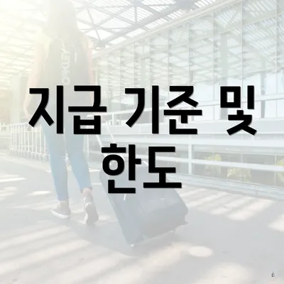 지급 기준 및 한도