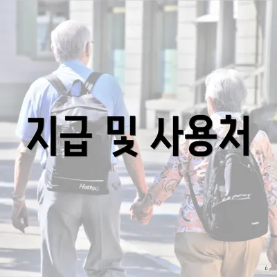 지급 및 사용처