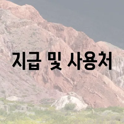 지급 및 사용처