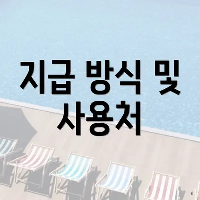 지급 방식 및 사용처