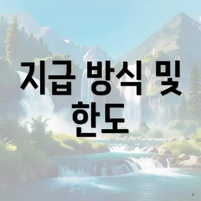 지급 방식 및 한도