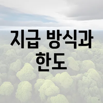 지급 방식과 한도