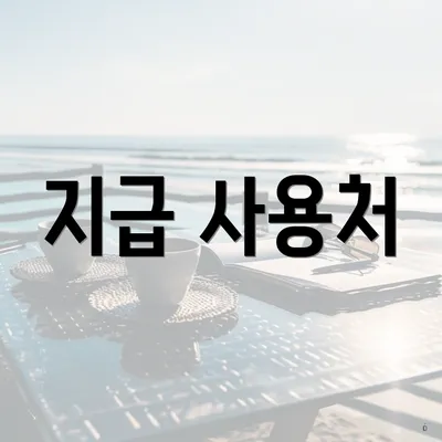 지급 사용처