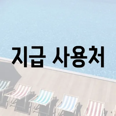 지급 사용처