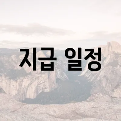 지급 일정