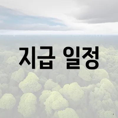 지급 일정