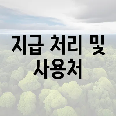 지급 처리 및 사용처