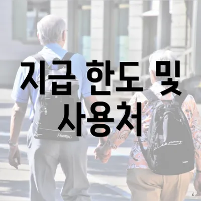 지급 한도 및 사용처