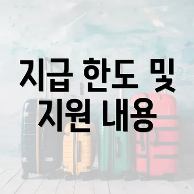 지급 한도 및 지원 내용