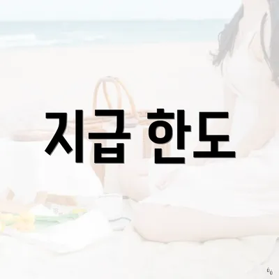 지급 한도