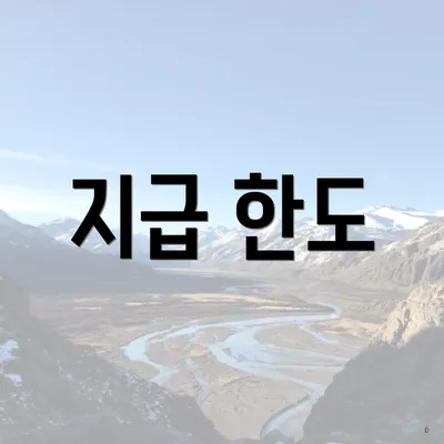 지급 한도