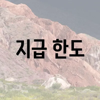 지급 한도