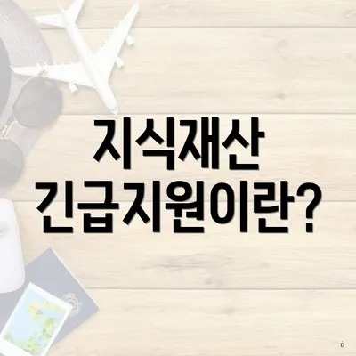 지식재산 긴급지원이란?