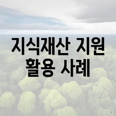 지식재산 지원 활용 사례