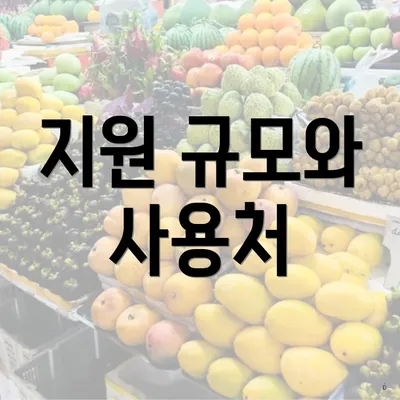 지원 규모와 사용처