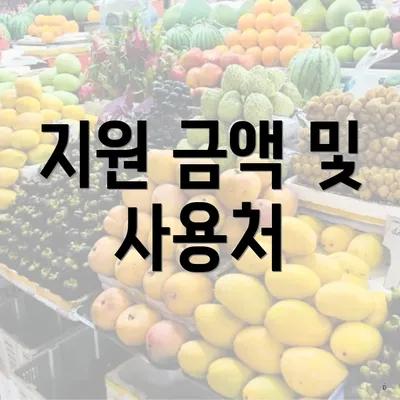 지원 금액 및 사용처