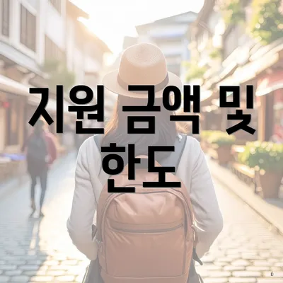 지원 금액 및 한도