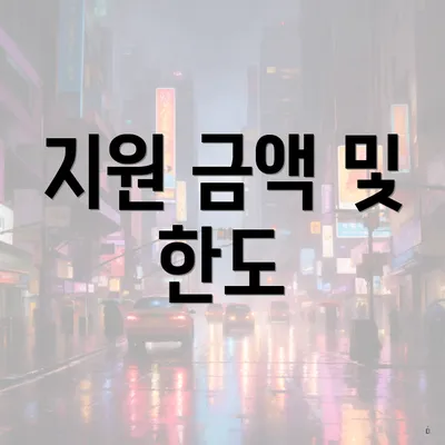지원 금액 및 한도