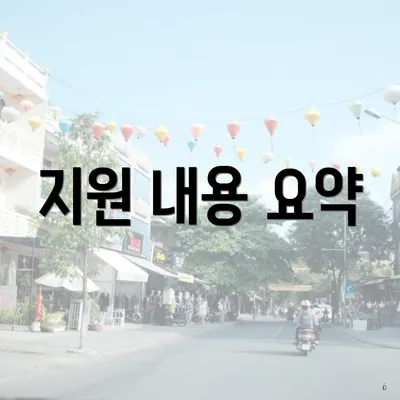 지원 내용 요약