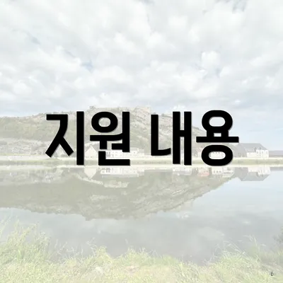 지원 내용