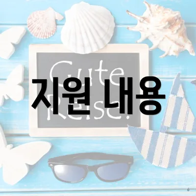 지원 내용