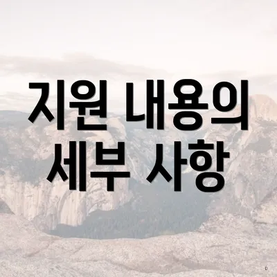 지원 내용의 세부 사항