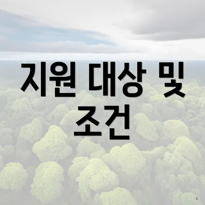 지원 대상 및 조건