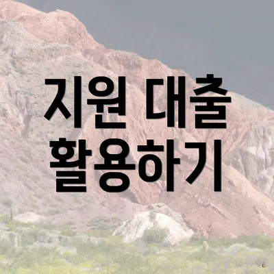 지원 대출 활용하기