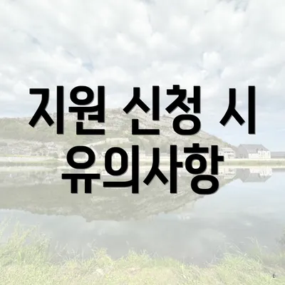 지원 신청 시 유의사항