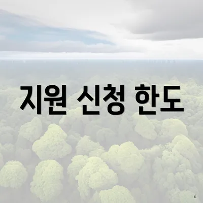 지원 신청 한도