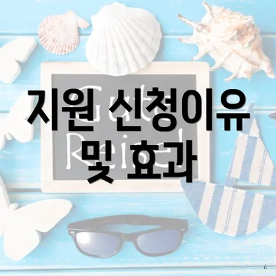 지원 신청이유 및 효과
