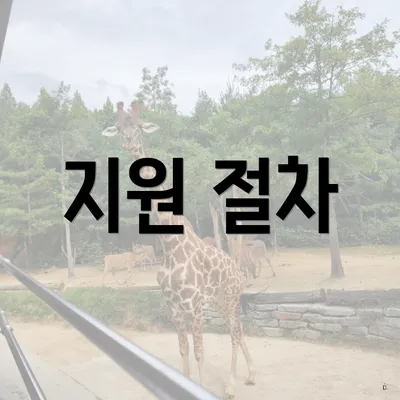 지원 절차