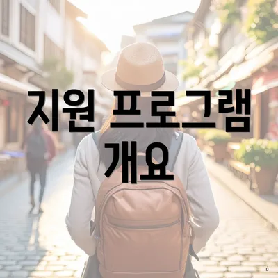 지원 프로그램 개요