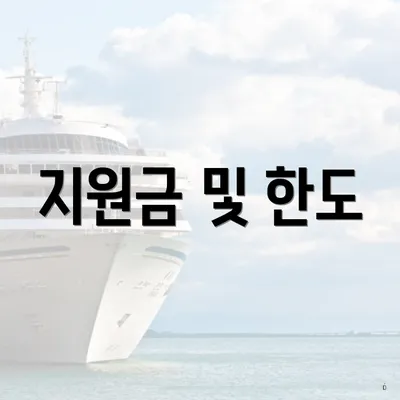 지원금 및 한도